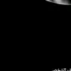 abdllee4