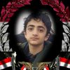 user8405961592908