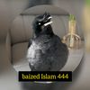 baized.islam444