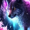 willwright019