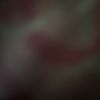 aoriobdic98