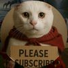 please follow me