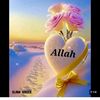 abbasabbasali2658