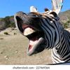 laugh.plu9