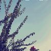 maria.rafie11