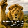 user5607843954395