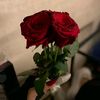 hajar_hamada1
