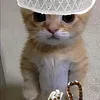 mmmss365