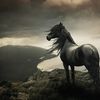 waleed_1077