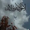 user4741987571813