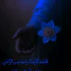جـ ll 🤍