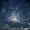 ilovenature238