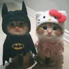hjpwpgbnw