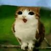 juliana.aucay