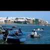 mustapha.oumimoun