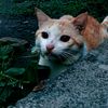 sharonesther_77