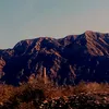 guadalupa38