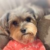 zoey20237