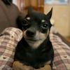 teto_rocks123456