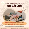 Foot Body Massage Bình Tân