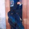 haidar01495