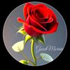 salauddin.molla54