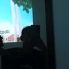 pangeran.anaka011