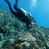 underwater world
