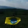 voronzwer