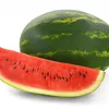 watermelon_slices5