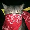dinzz_sukayapping0