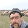 vasile.ilie930