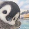 ghita_12413