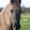 eliza.kwiek3