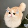 minji4532