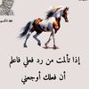 user28317488353370