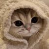 SandyChatSexy