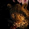 khadish_42