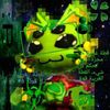 gnarpy062
