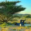 qalbi.saliim0