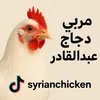 syrianchicken