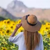 beautifulsunflower881