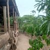 kamwe.farms
