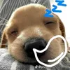 yn.linh6048