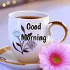 walaa124444