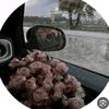 haneen.algharib3