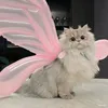 purrfectspielzeug