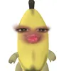bshdwdgf