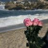 ur_luver7