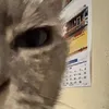 dito_kun